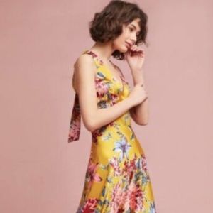 NWT Nicole Miller Abbey Maxi Dress